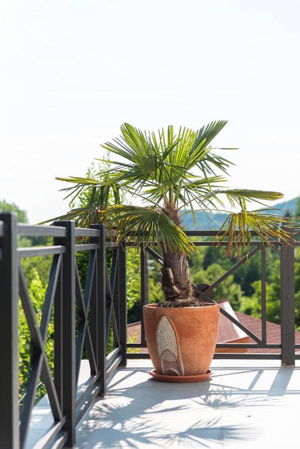 Katzer Villa Badacsonytördemic Exteriér fotografie