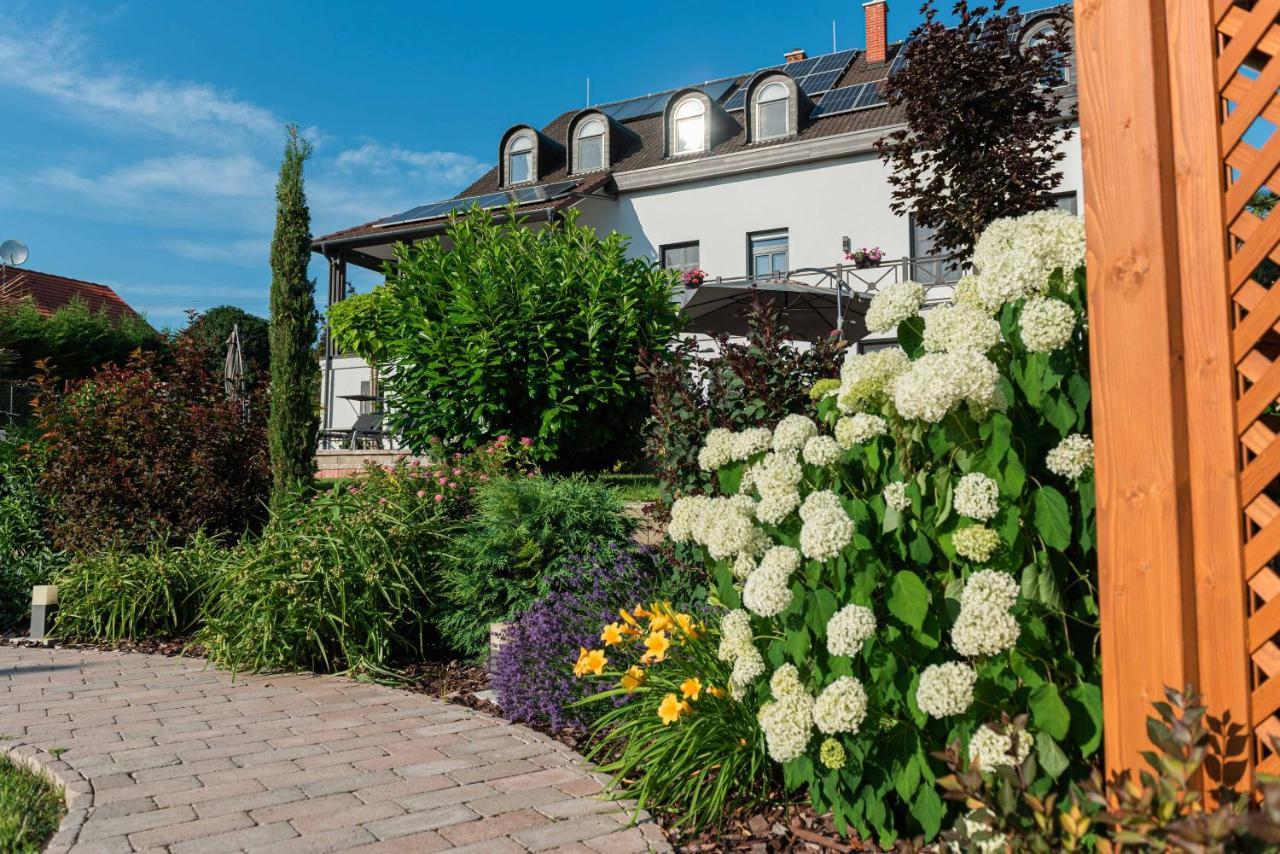 Katzer Villa Badacsonytördemic Exteriér fotografie